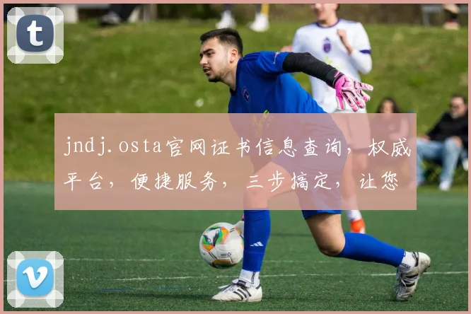 jndj.osta官网证书信息查询，权威平台，便捷服务，三步搞定，让您轻松查询
