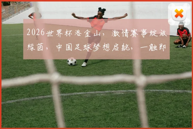 2026世界杯洛金山，激情赛事绽放绿茵，中国足球梦想启航，一触即发