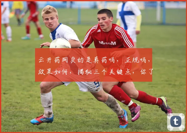 云开药网卖的是真药吗，正规吗，效果如何，揭秘三个关键点，你了解了吗