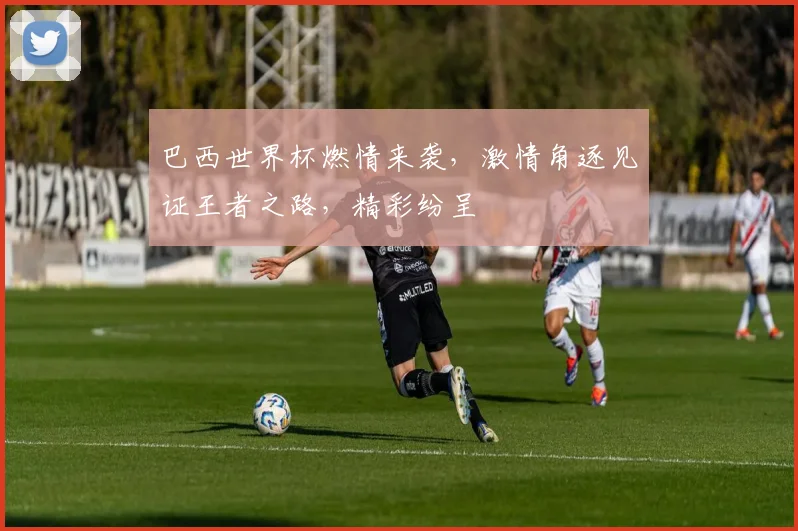 巴西世界杯燃情来袭，激情角逐见证王者之路，精彩纷呈